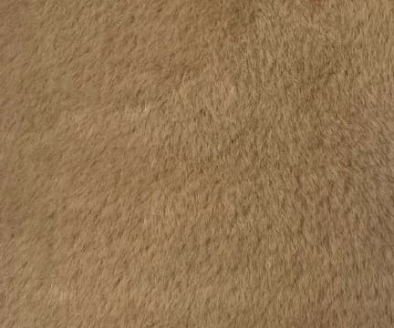 PIEL RABBIT